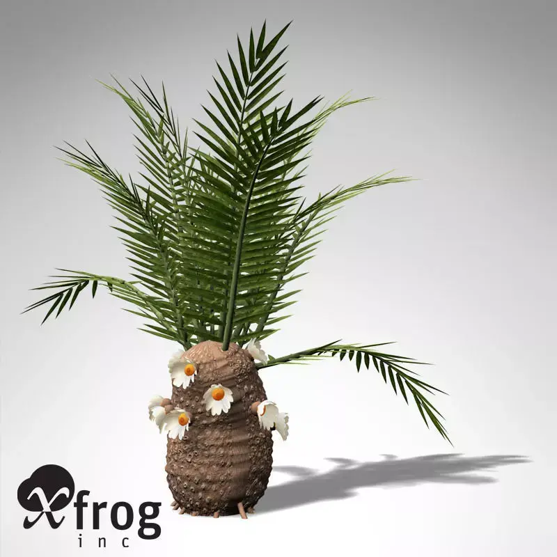 XfrogPlants Cycadeoidea Gigantea Free 3D model
