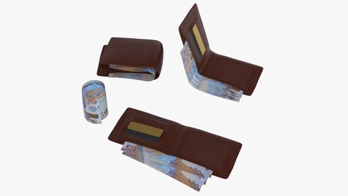 Cayman Islands British 25 Dollar Wallet Money Purse 3D model