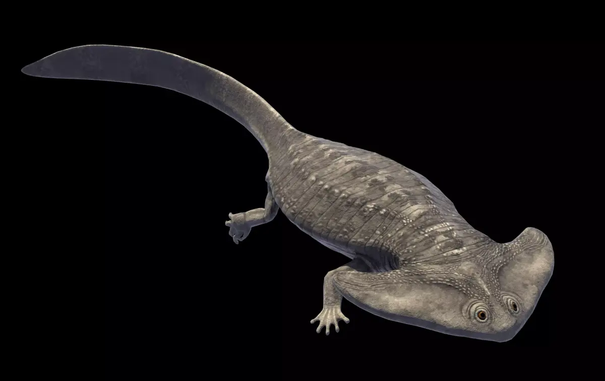 Diplocaulus Asset Pack Low-poly 3D model