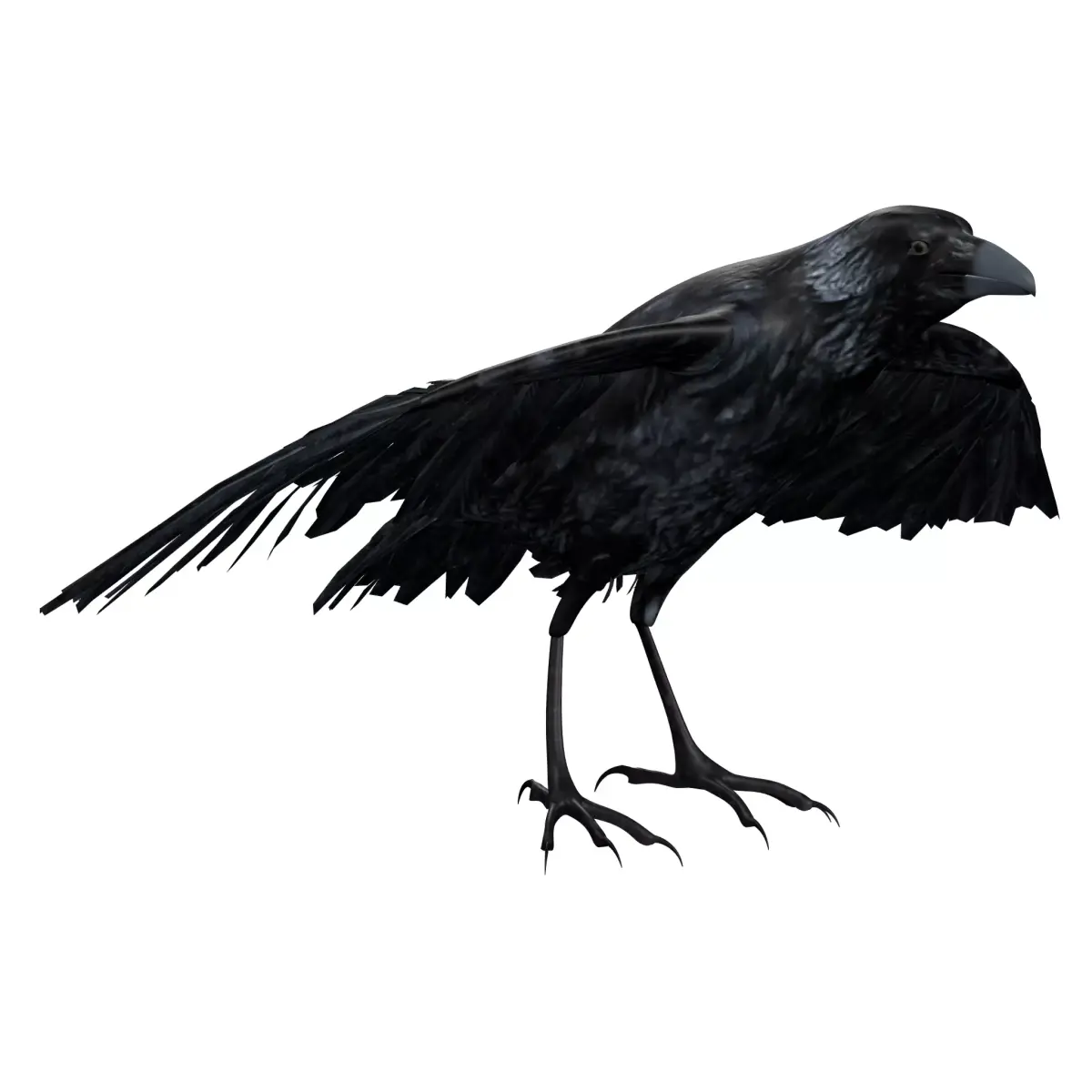 Raven Rigged  Low-poly 3D model