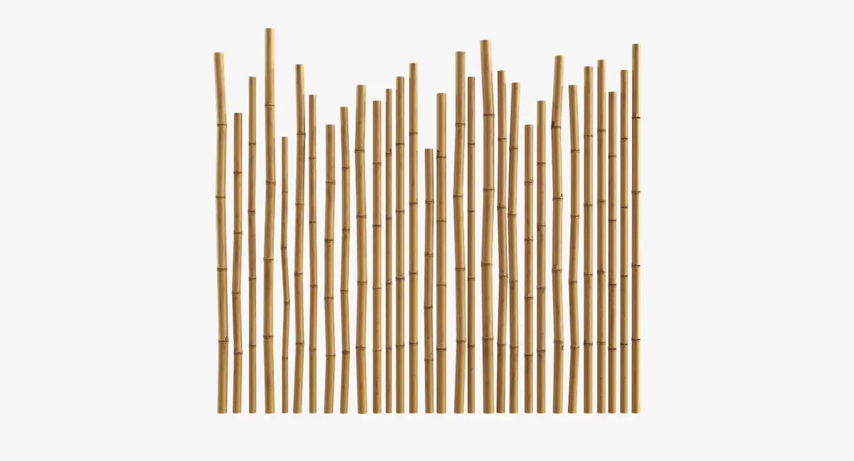 Bamboo 3D model purchase