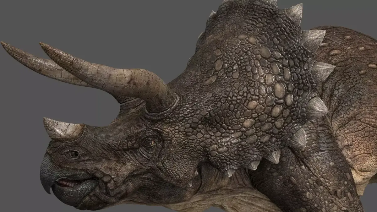 Triceratops - animations Low-poly 3D model