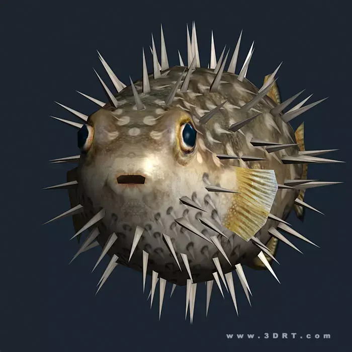 3DRT - Sealife -  Puffer fish Low-poly 3D model