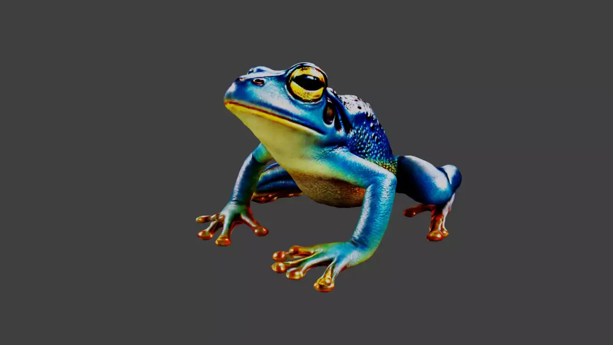 Frog Animal Low-poly 3D model purchase