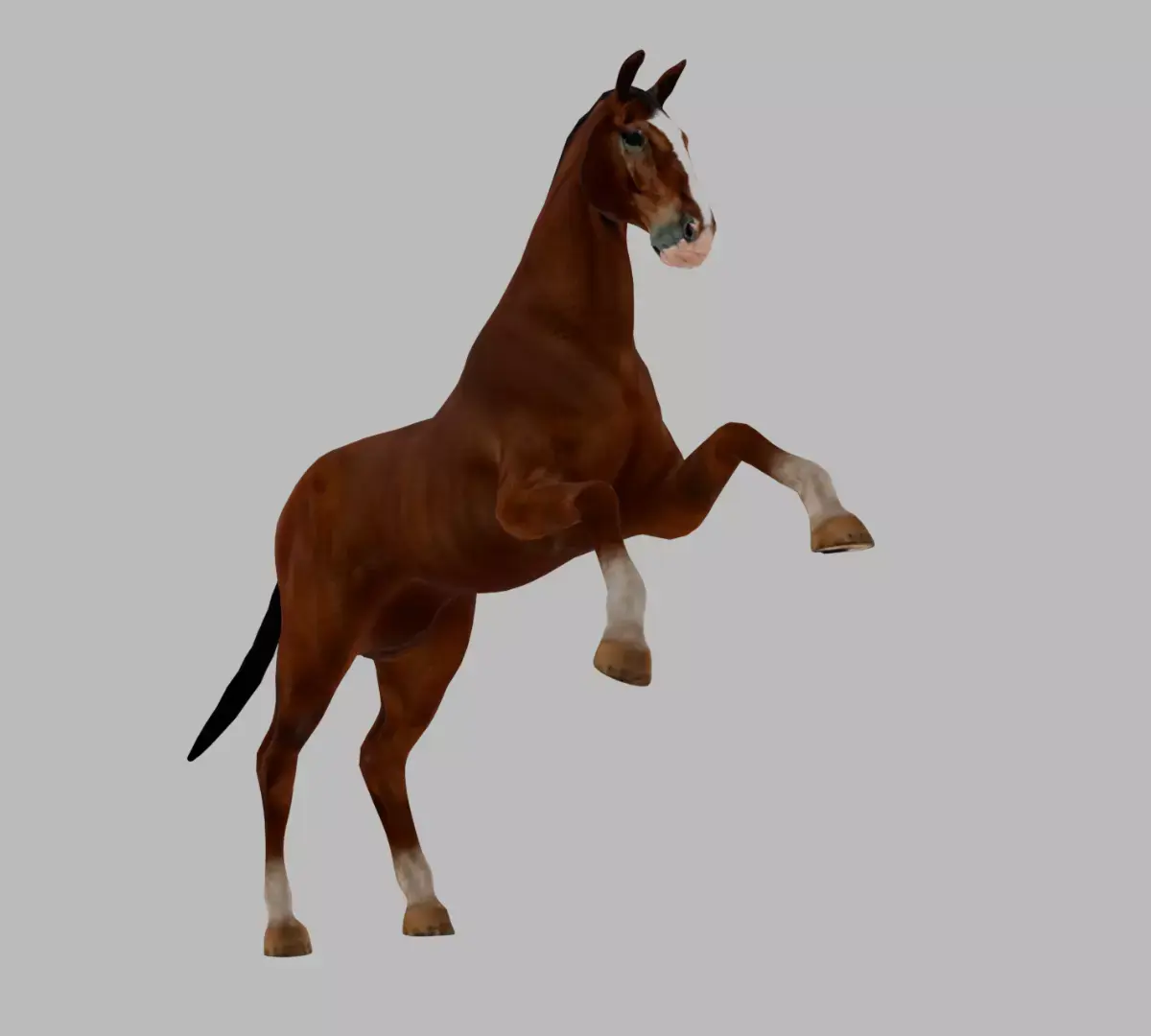 Rigged and Animated Brown Horse 3D model