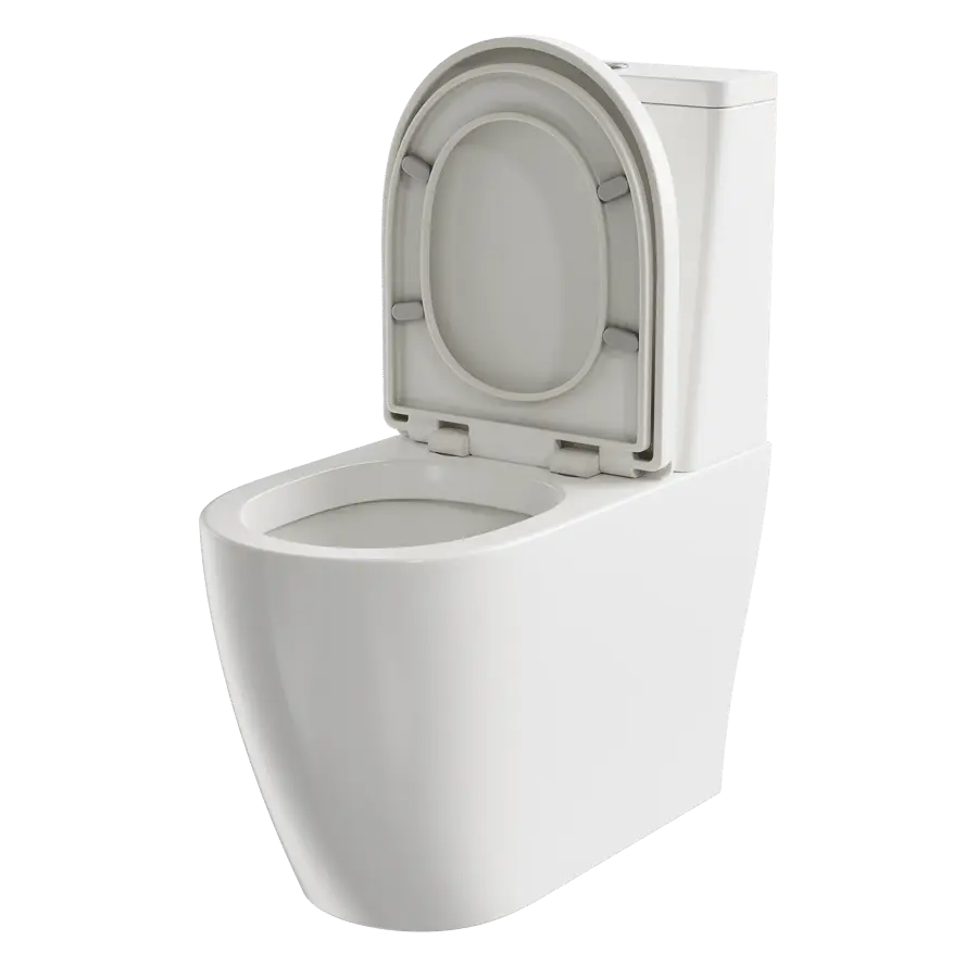  One-Piece Toilet Model 