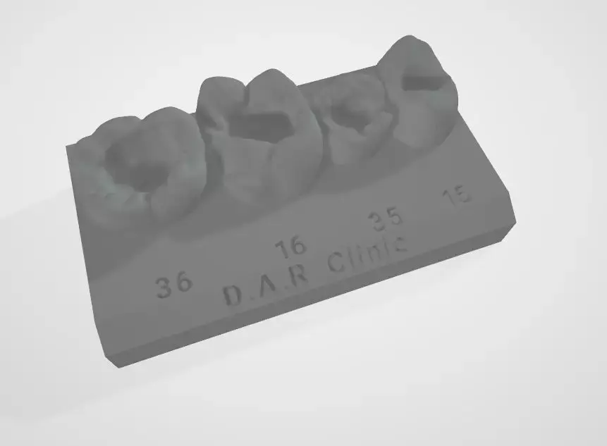Dental Models For Courses and training  3D print model