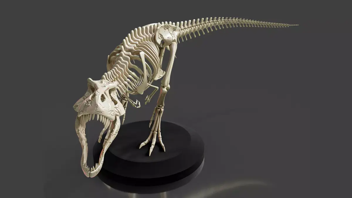 Realistic T-Rex Dinosaur Skeleton 3D model