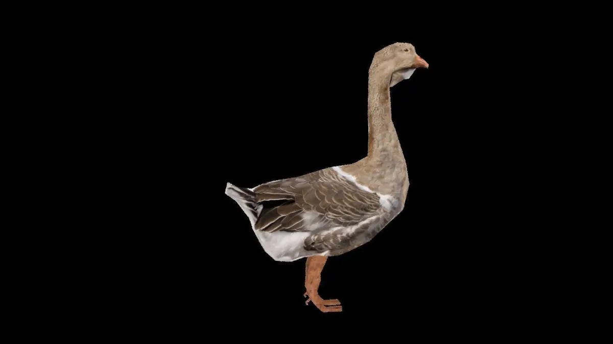 duck 3d goose Low-poly 3D model