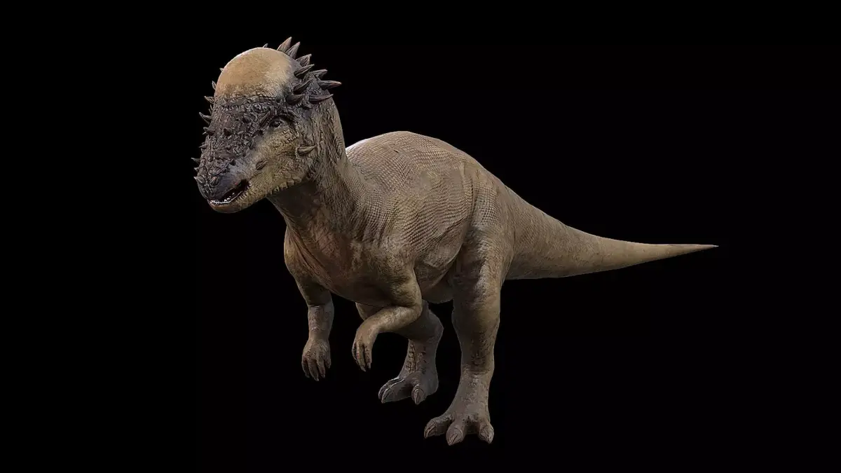 Pachycephalosaurus - Thick-Headed Lizard Low-poly 3D model