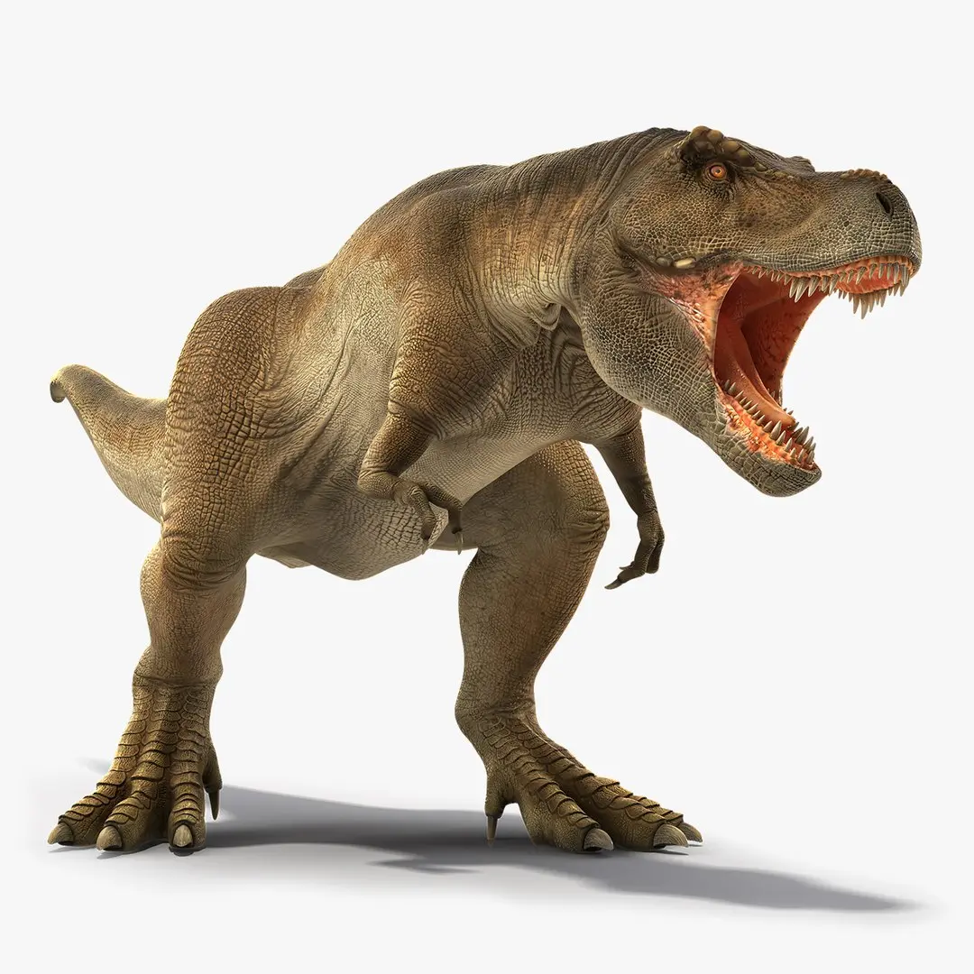 Animated Tyrannosaurus Rex Roaring Rigged for Cinema 4D 3D model