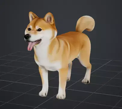 Dog Model - Shiba 3D model