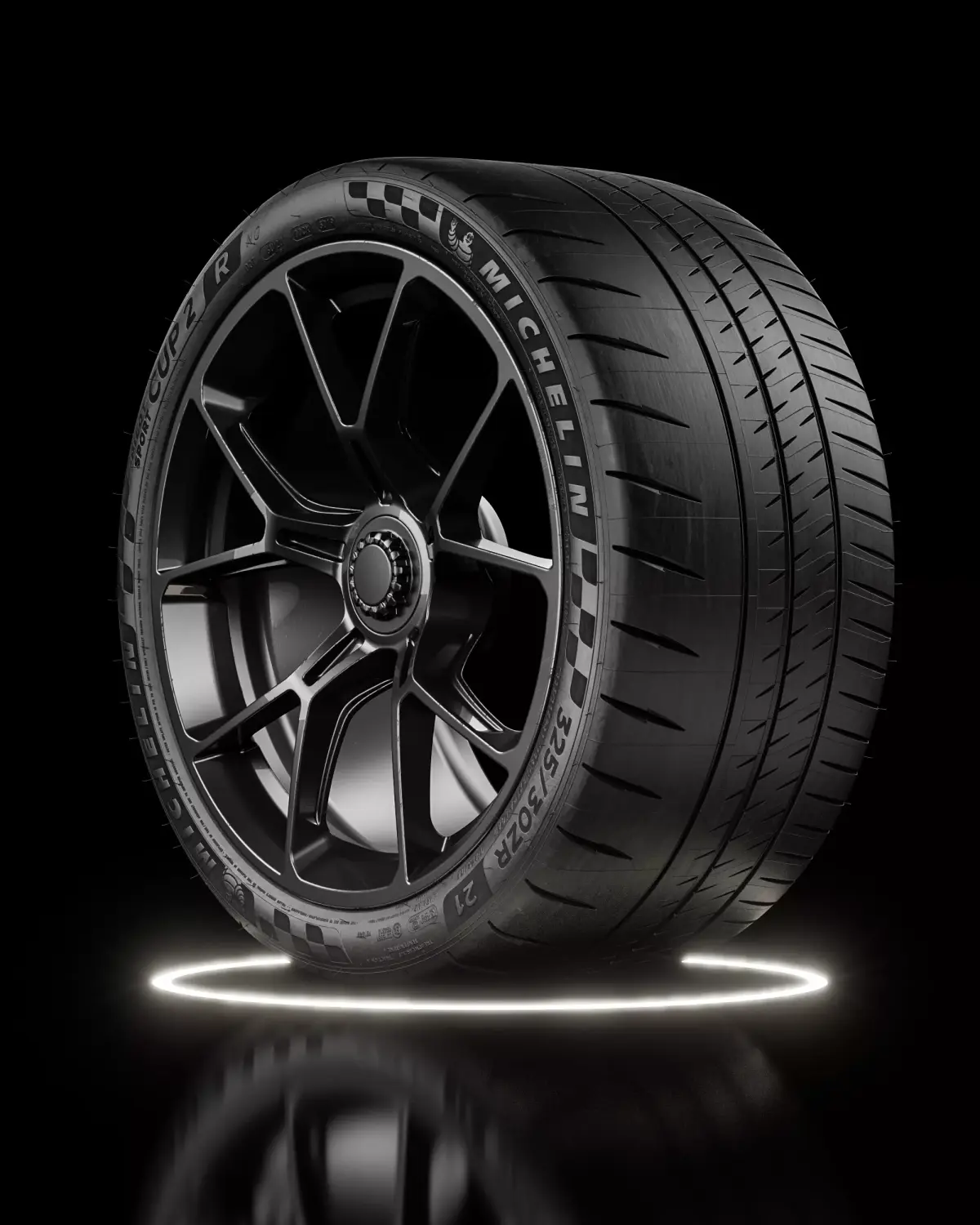 Michelin Pilot Sport CUP 2 R 325 30 ZR21 108Y 3D model