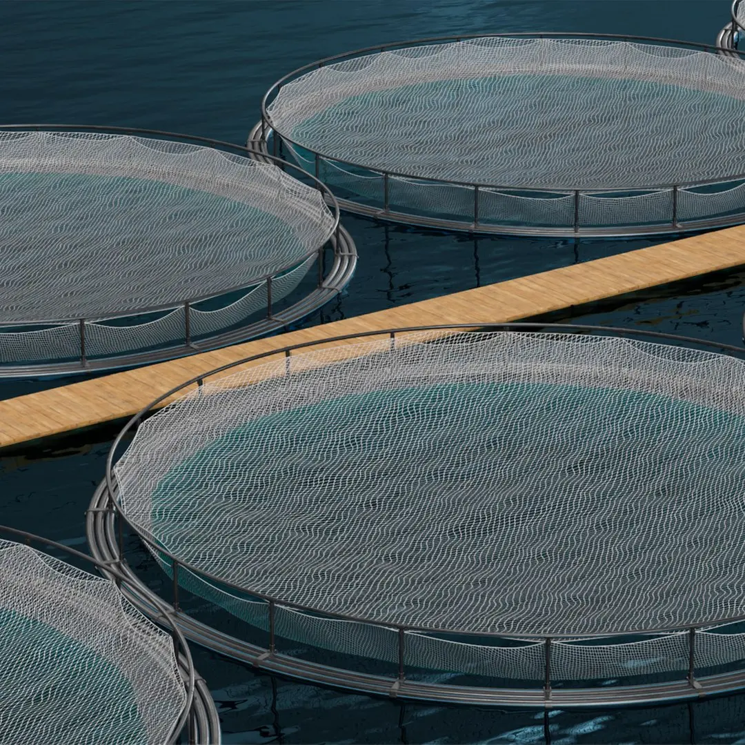 Floating Circular Fish Farm on Water with Walkway 3D model