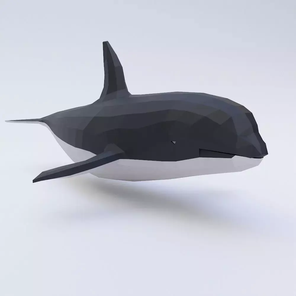Killer Whale fish low poly 3d model  Low-poly 3D model