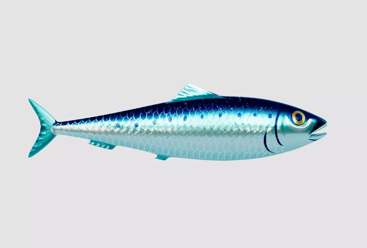 Sardine Pilchard Model 3D model