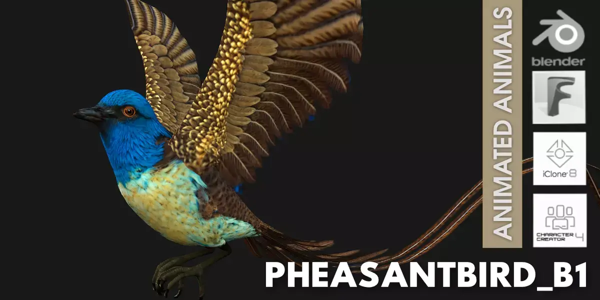 PheasantBird B1 Free low-poly 3D model