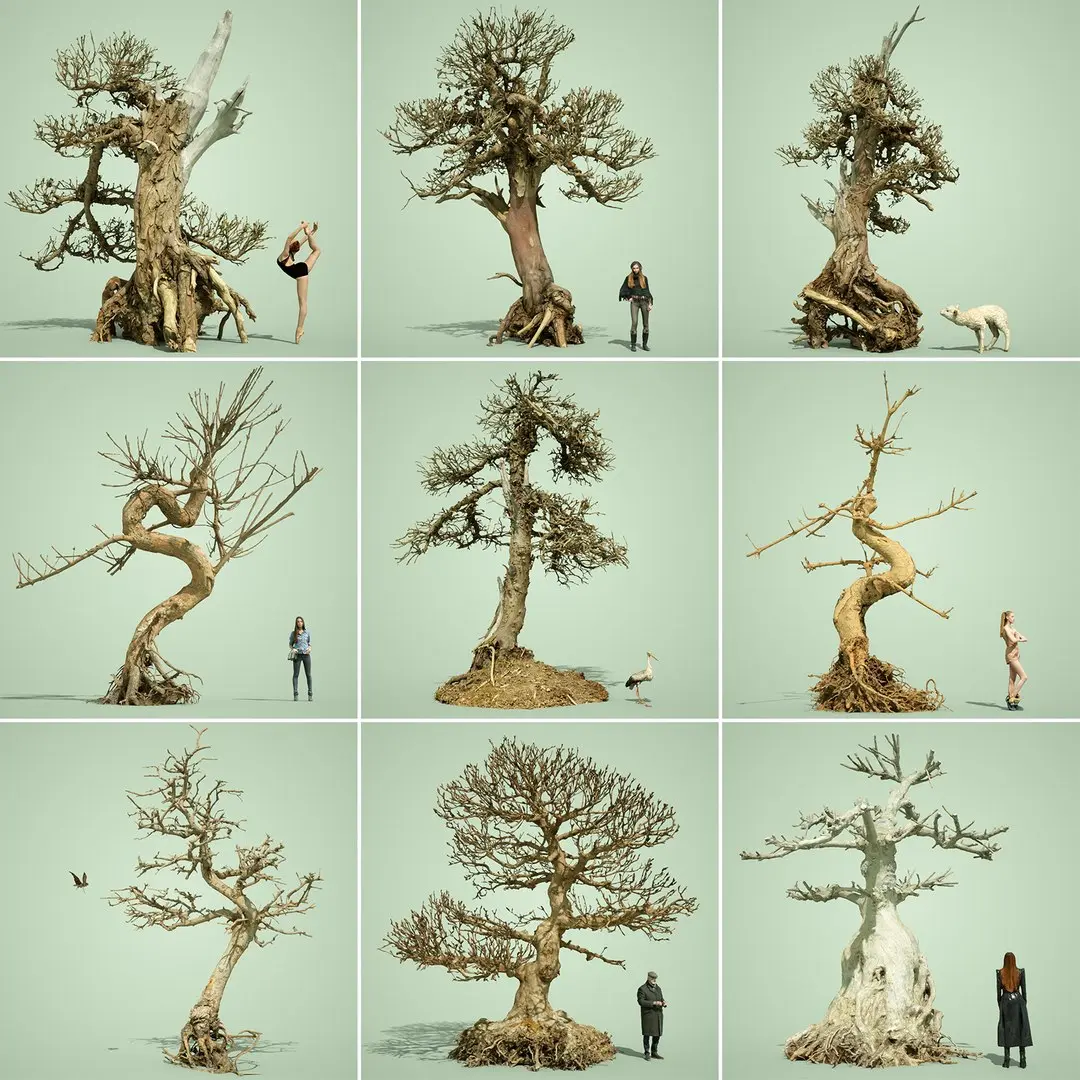 Stylised Dead Tree Collection 3D model