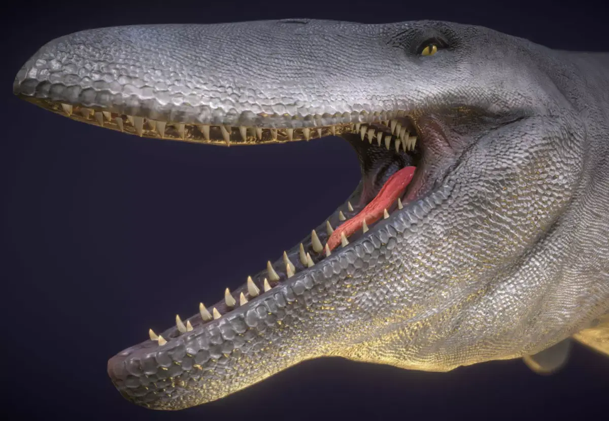 Tylosaurus Low-poly 3D model