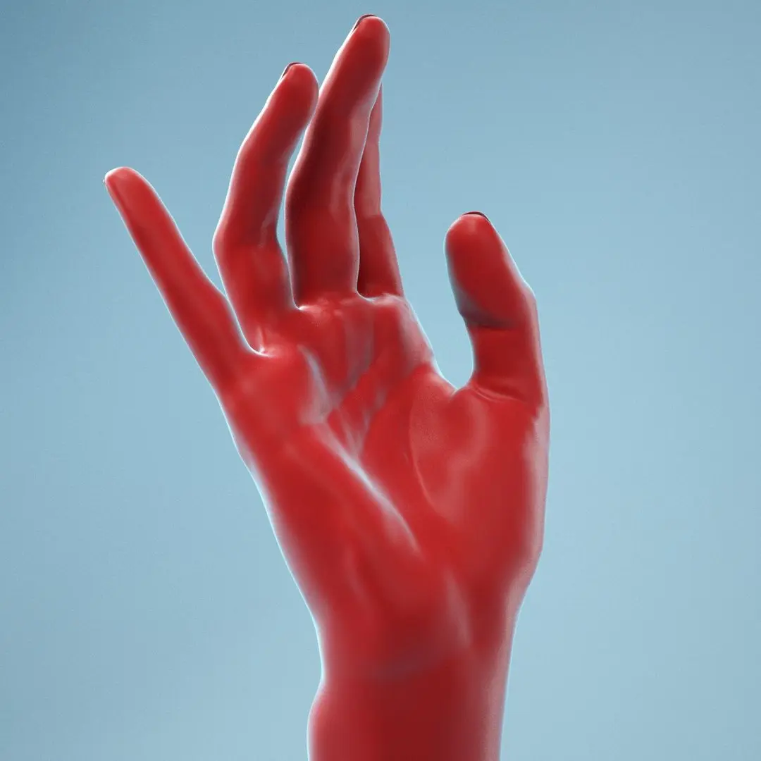 Female Hand 1 3D model