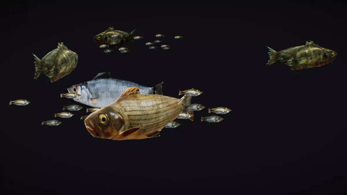 Fish Flock Fresh Water Fishes Animated Floating River Trout Low-poly 3D model