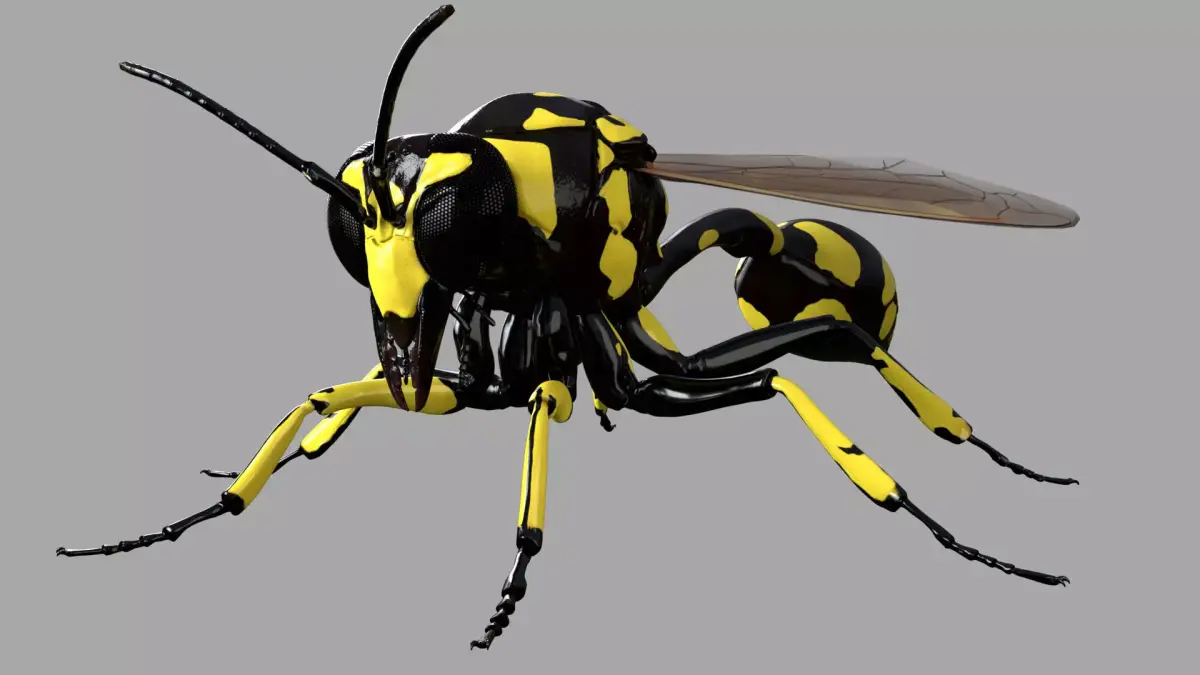 Potter or Mason Wasp 3D model