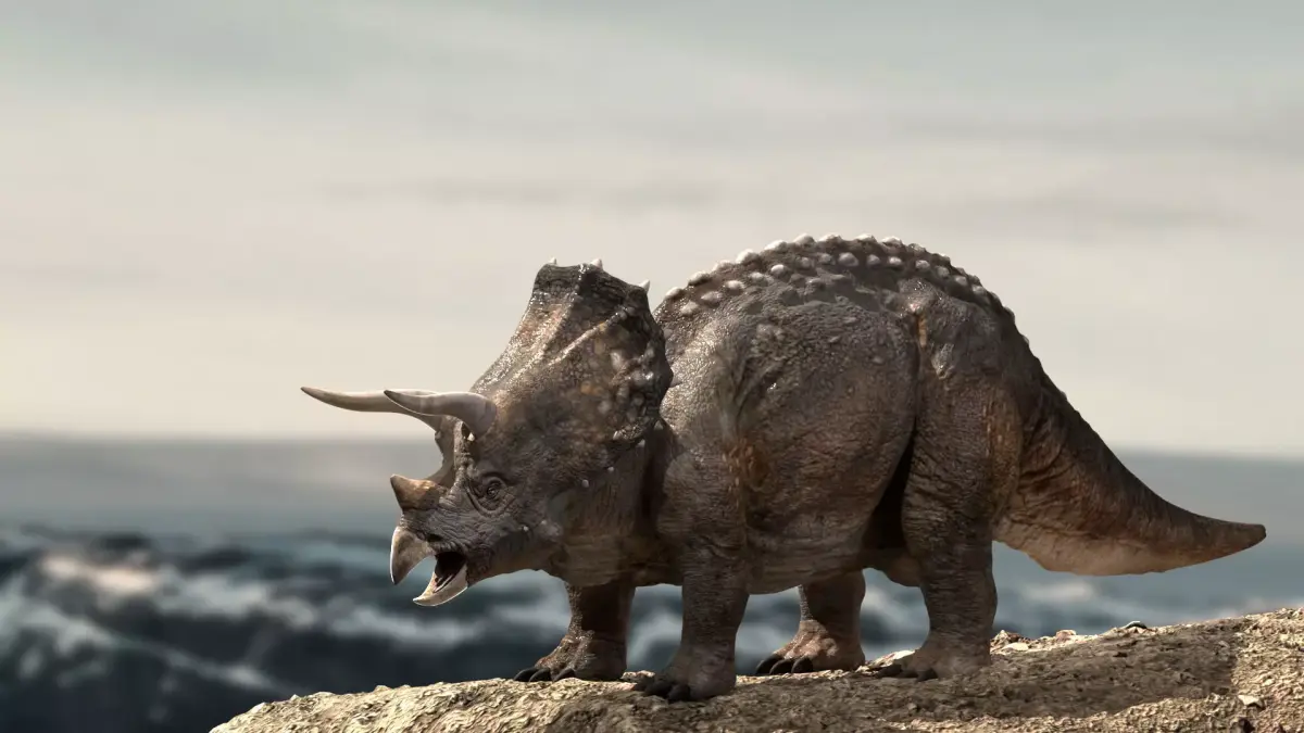 Triceratops Rigged 3D model Low-poly 3D model