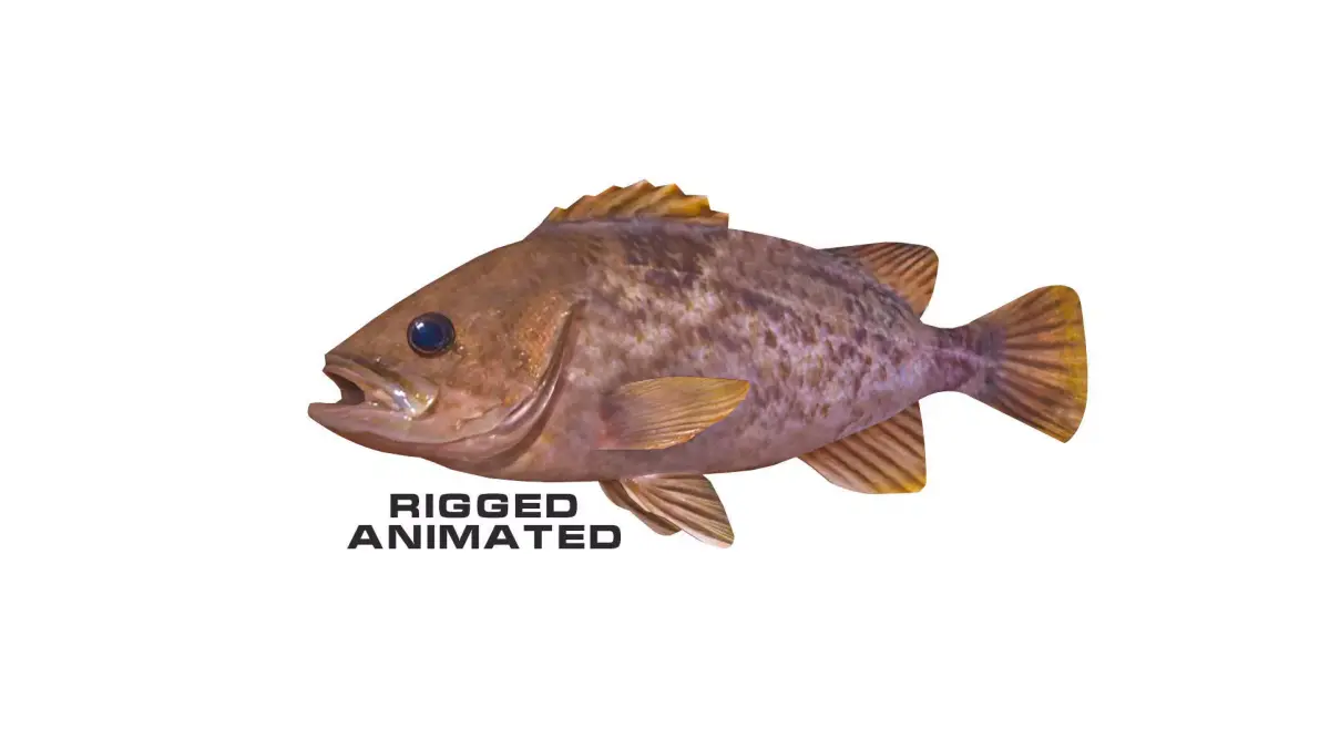 Low-Poly Kelp Rockfish Animated Low-poly 3D model