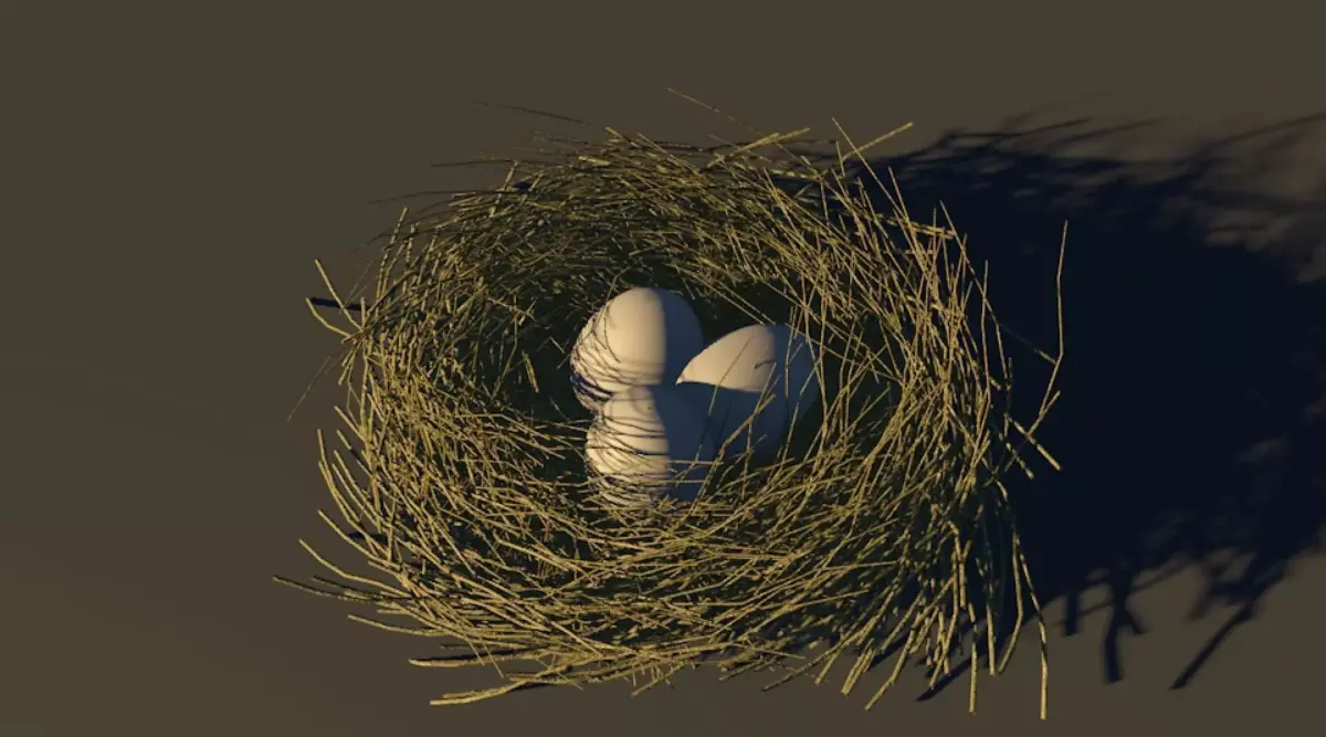 Bird Nest 3D model 4