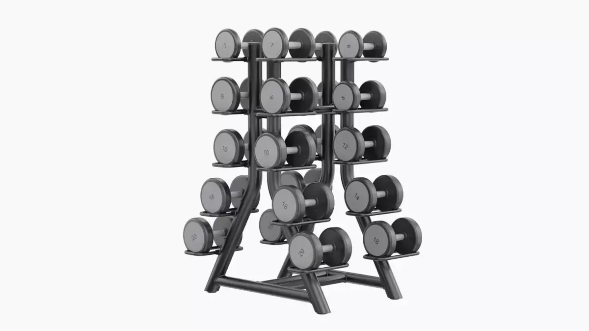 Technogym Vertical Dumbbells Rack 3D model