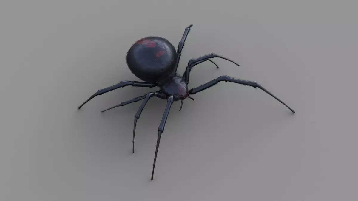 Black Widow rigged animated 3d spider 3D model