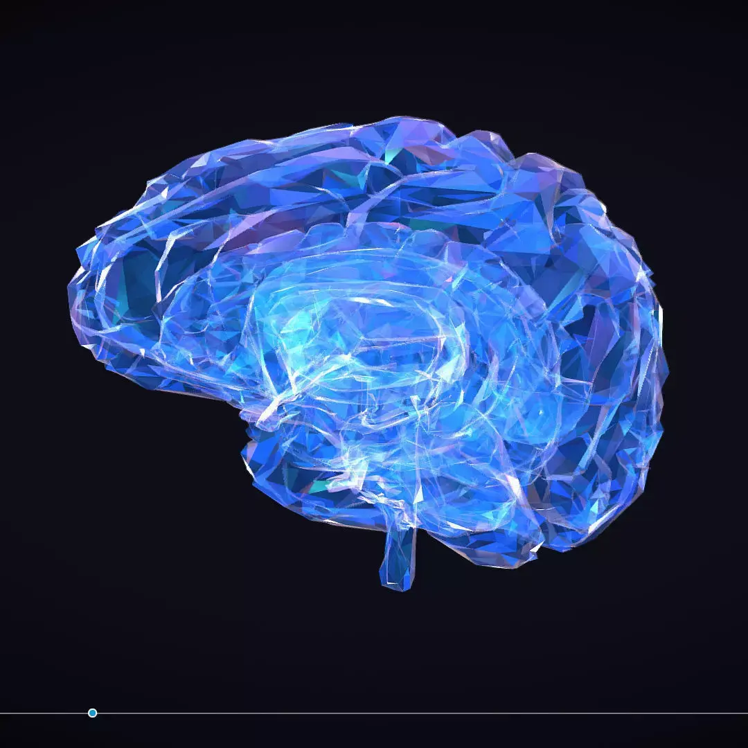 Brain Roentgen Low Polygon Art Medical Low-poly 3D model purchase