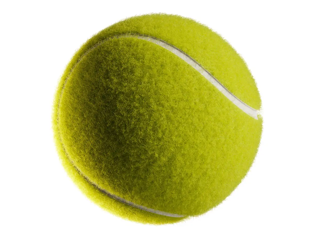 Tennis ball  purchase 3D model