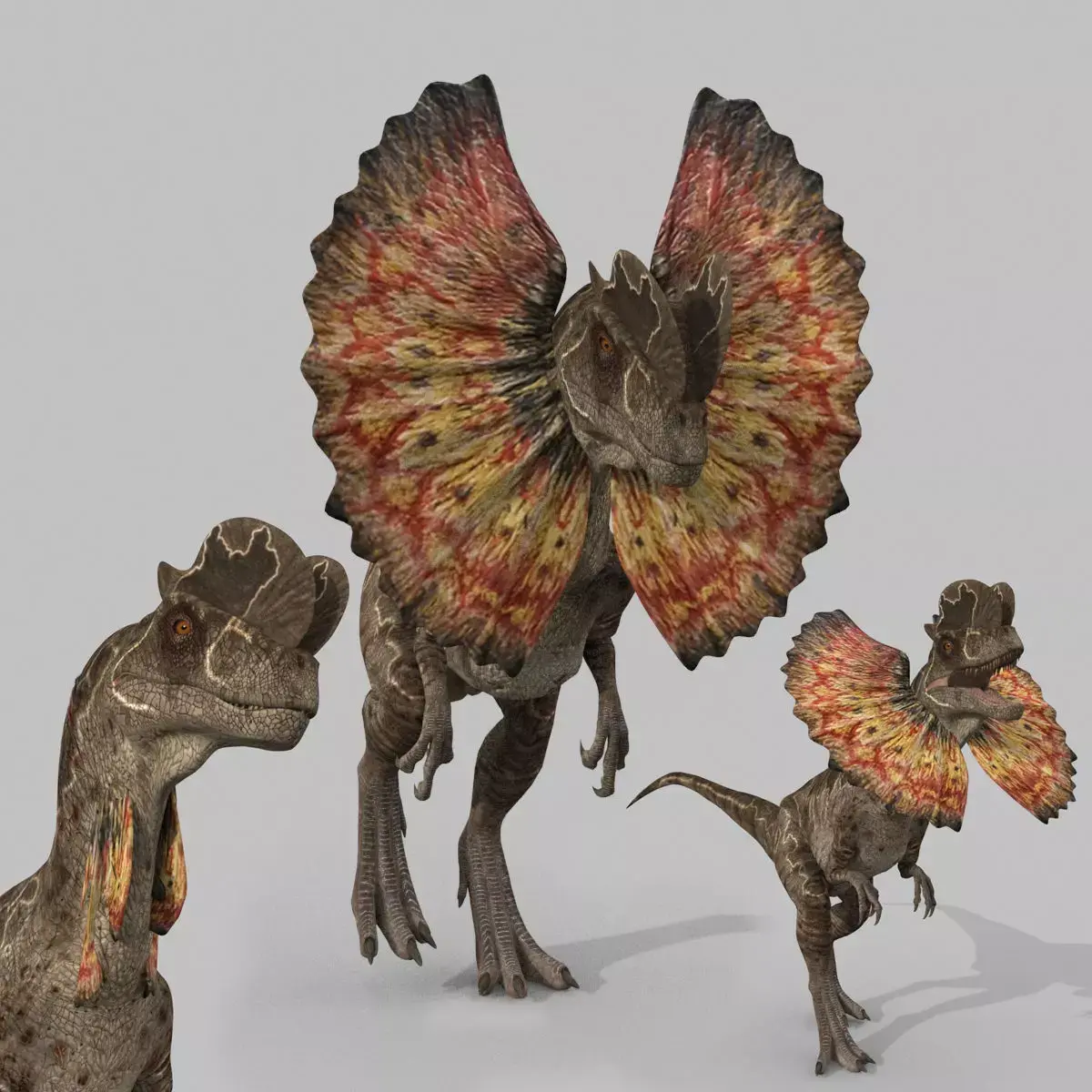 Dilophosaur Forever - 8K 3D model