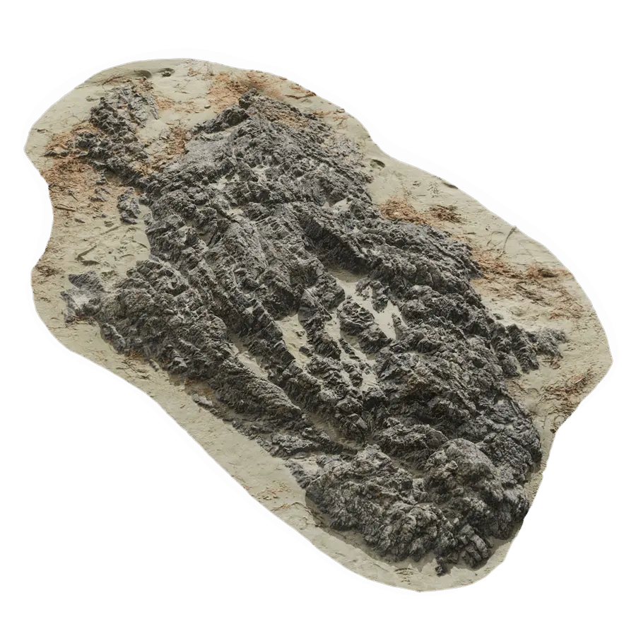 Large Rough Beach Rock Model  purchase