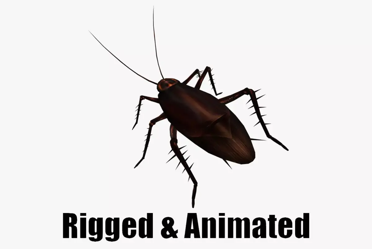 animated cockroach Low-poly 3D model
