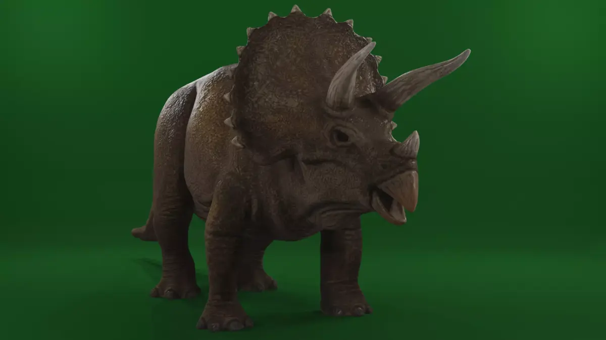 Triceratops 3D model 3D model