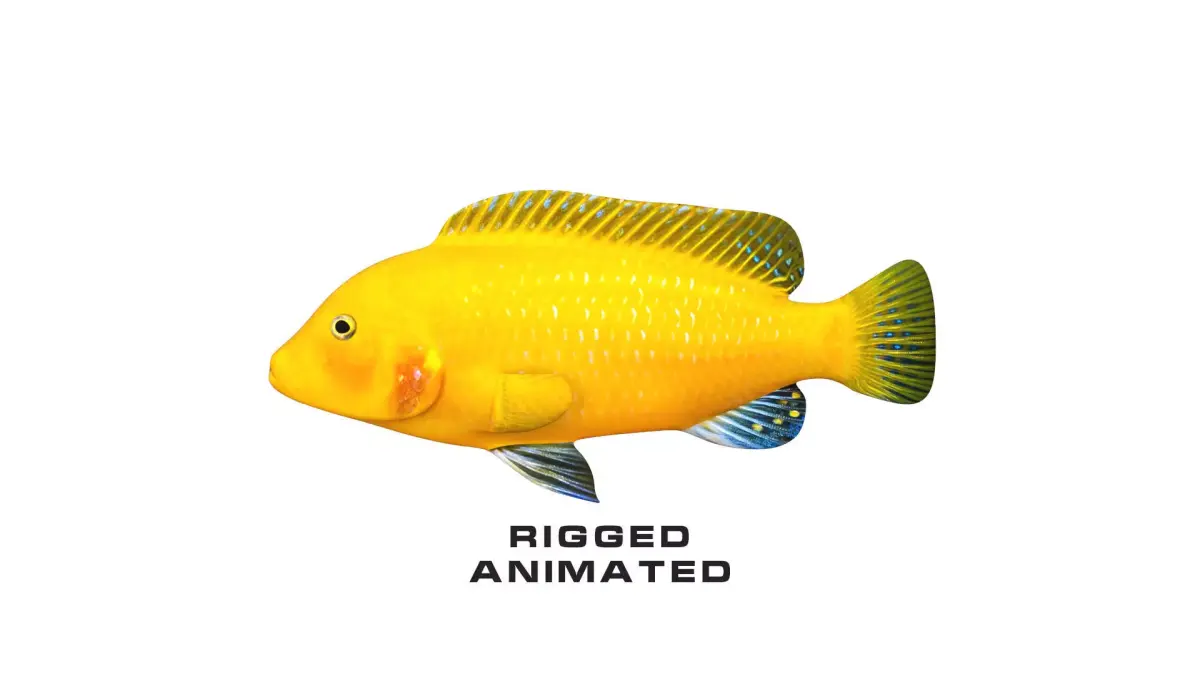 Low-Poly Cichlid Yellow Animated Low-poly 3D model