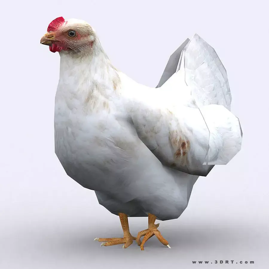 3DRT - Chicken Low-poly 3D model