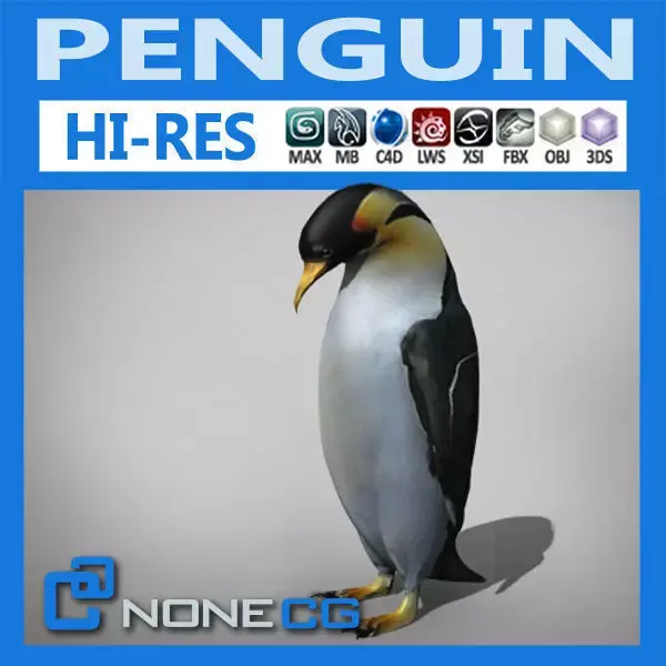 Penguin 3D model buy