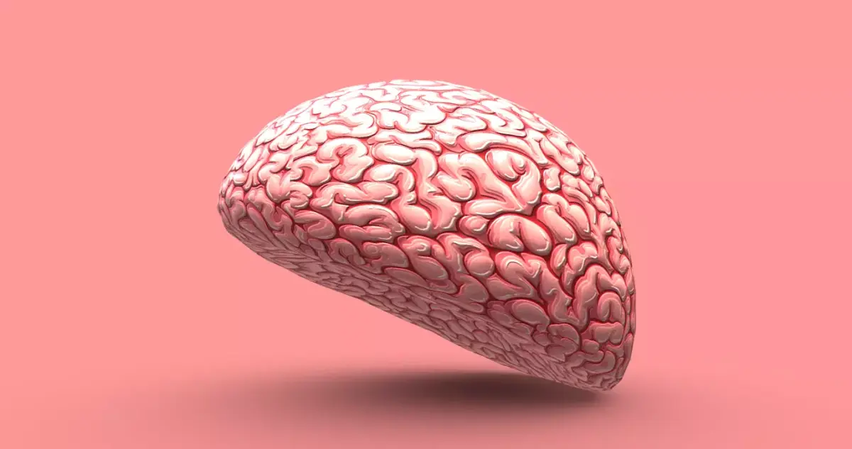 Brain 3D model buy