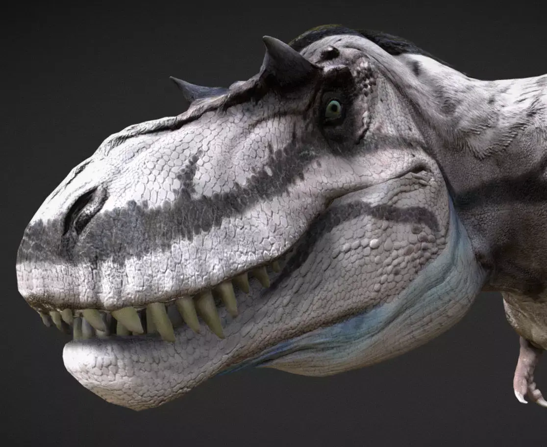 Albertosaurus The Swift Tyrant of the North Low-poly 3D model