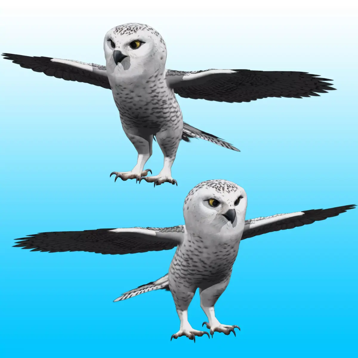 Snowy White Owl Rig 3D model