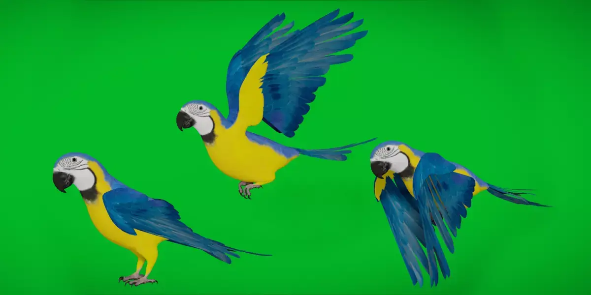 Macaw Ara Parrot Low-poly 3D model