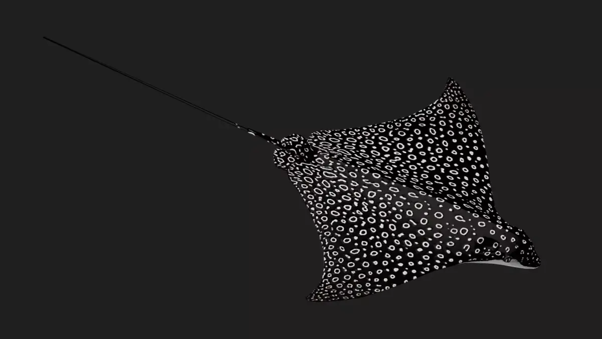Devilfish Low-poly 3D model purchase