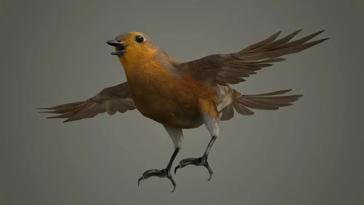 bird jay bee feather eagle cockatoo toucan sparrow  3D model
