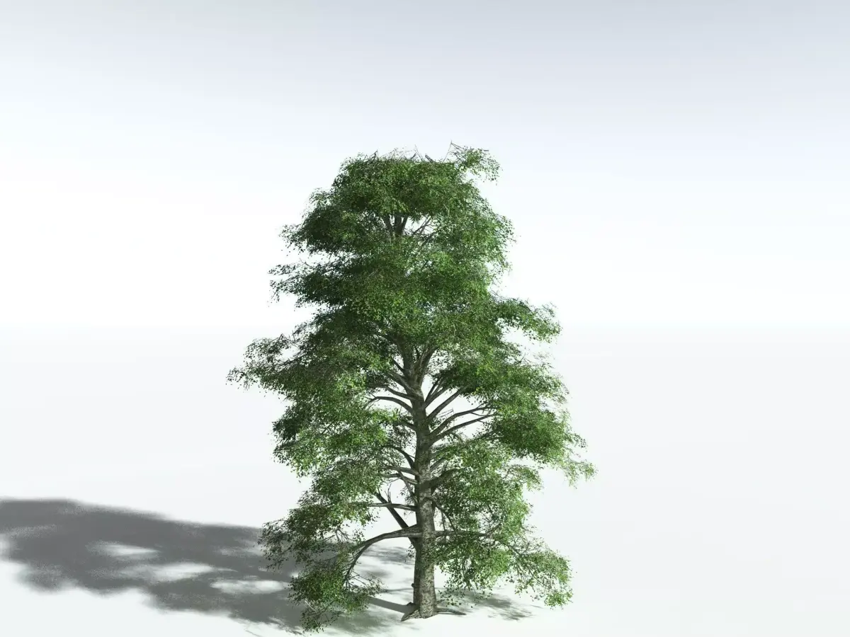 EVERYPlant Idiot Fruit Tree LowPoly Low-poly 3D model