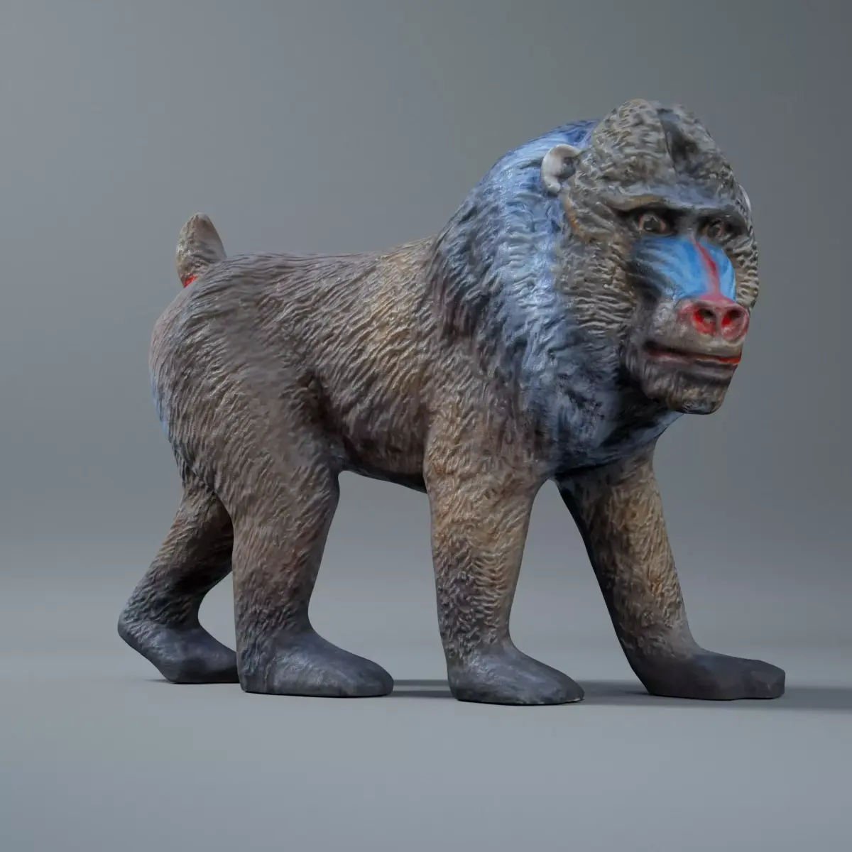 Mandrill baboon 3D model
