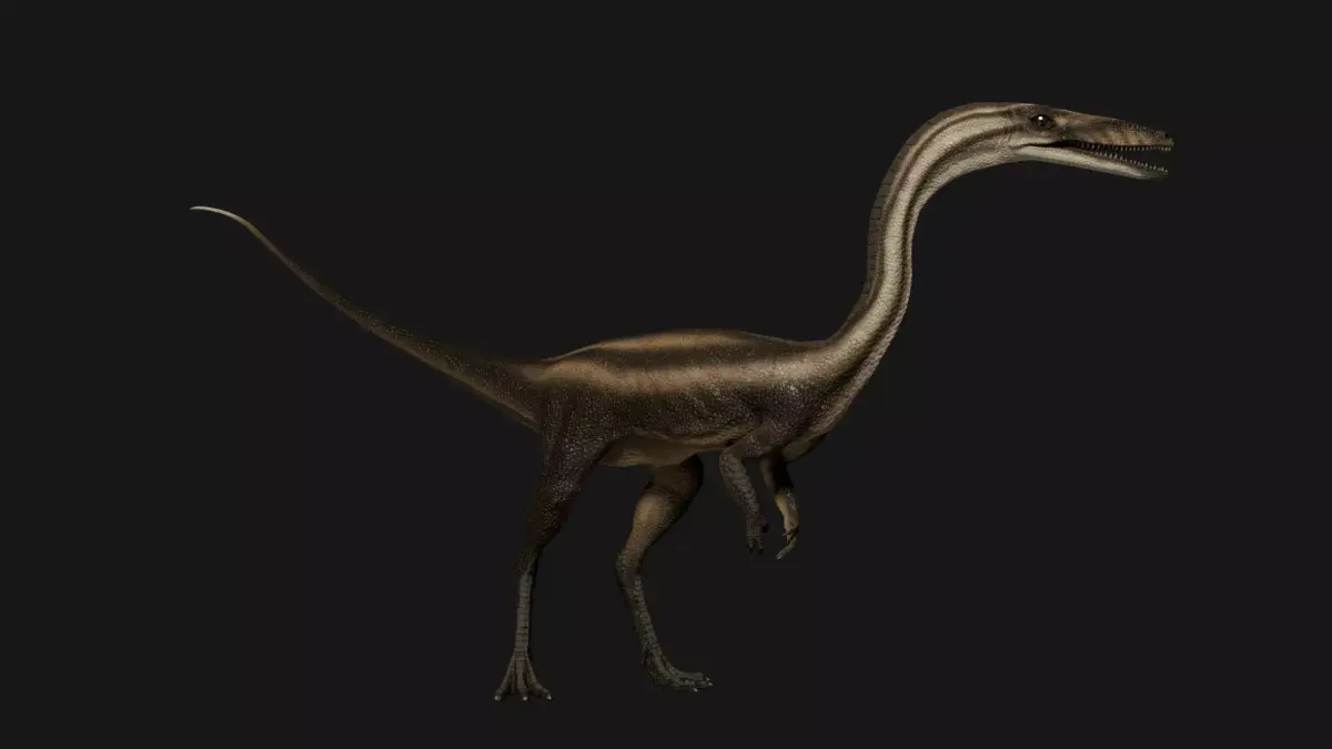 Coelophysis dinosaur Low-poly 3D model purchase