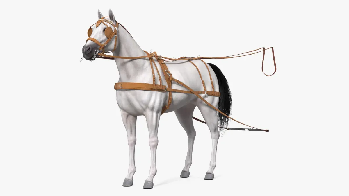 White Horse Single Driving Harness 3D model